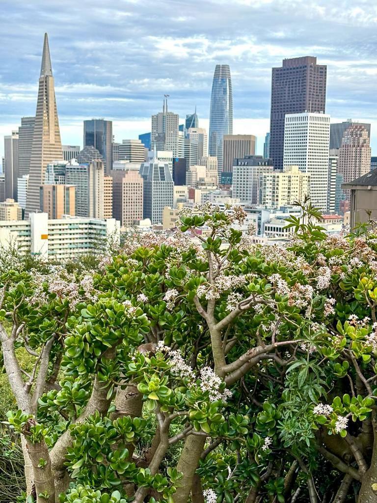 Ith San Francisco Pacific Tradewinds Backpacker Hostel Bagian luar foto